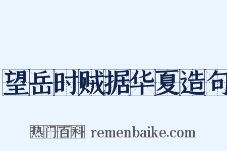 望岳时贼据华夏造句是什么意思的图片